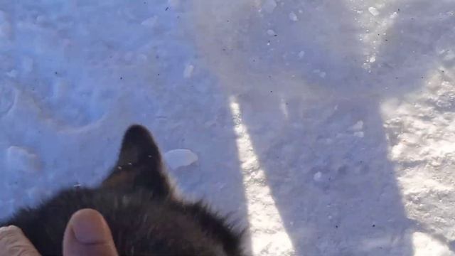 Доброго весеннего утра смотреть онлайн