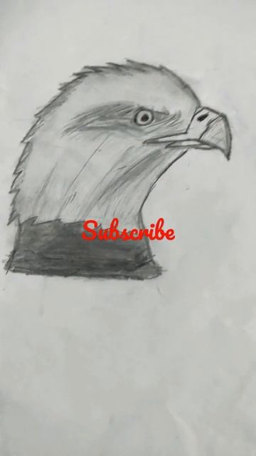 eagle bald смотреть онлайн