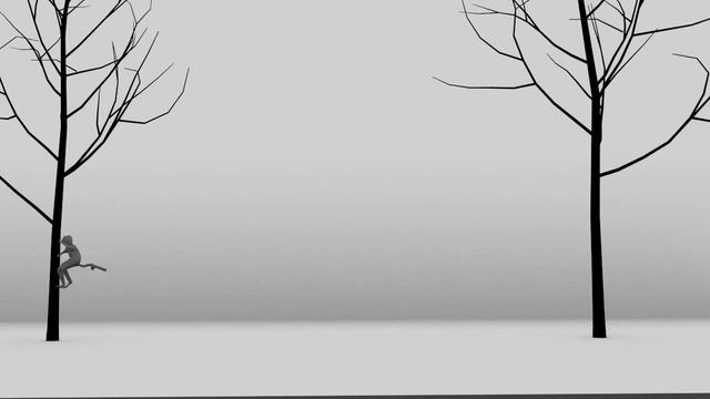 Sifaka biała - sposoby poruszania смотреть онлайн