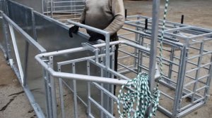 Раскол для овец Расколы от Шипмастер 89122337656