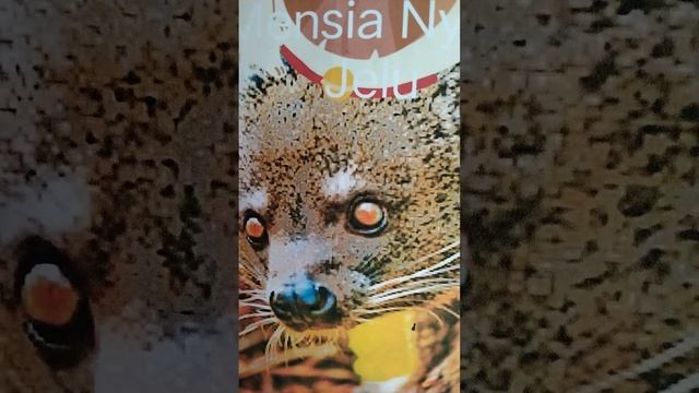 Jerita Lembang Tusun Ke 5 смотреть онлайн