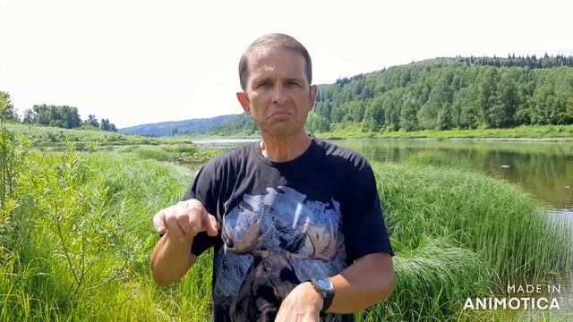 Deaf Holzak Лось смотреть онлайн