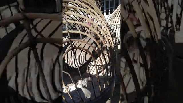 Садои кабки мода - Modakabk