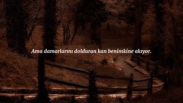 shawn james - love will find a way i (türkçe çeviri) смотреть онлайн
