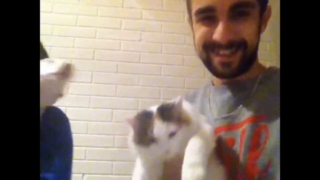 день Сурка смотреть онлайн