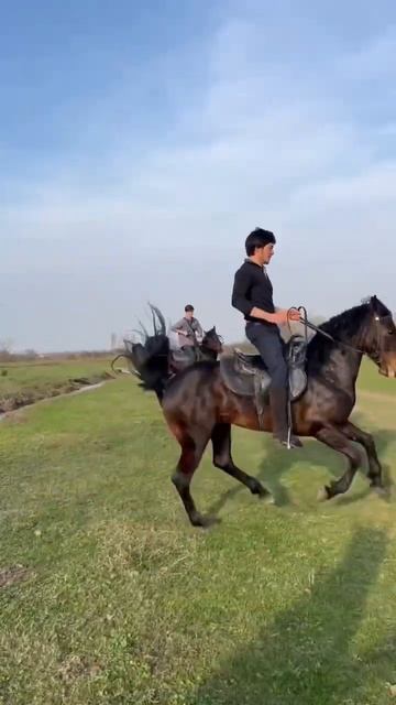 Мой БЕРТИ🔥Къ заряжанный до предела #horses смотреть онлайн