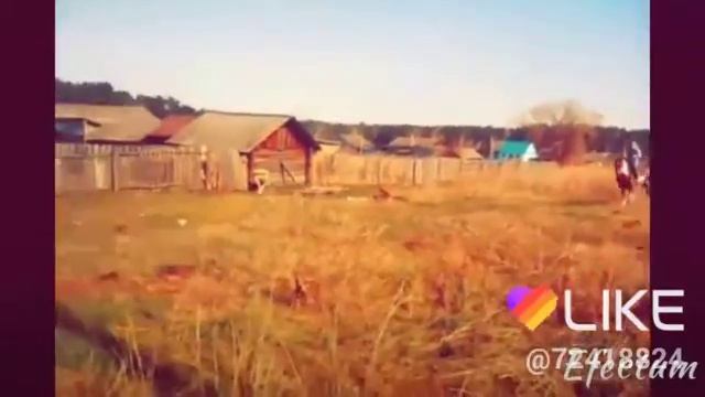 Лошади её дело смотреть онлайн