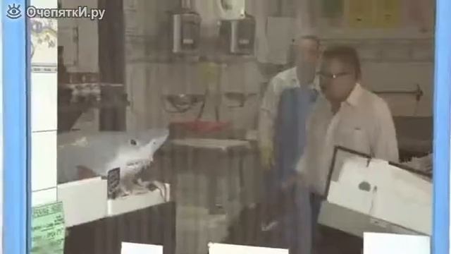 Розыгрыш с акулой на прилавке смотреть онлайн