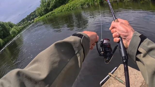 🐍megabass Lates  Coloris Waka Ayu🐍 Perche De 31 Cm De L’aulne 💧@megabass