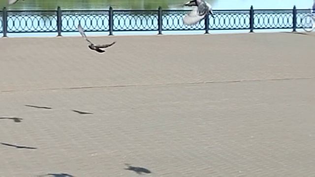 открытие туристического сезона смотреть онлайн