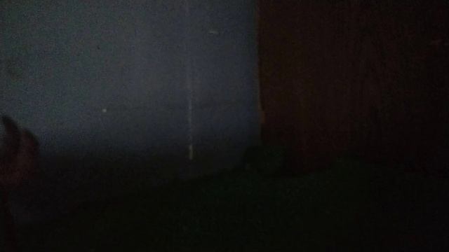 Rajasaurus V.S Masiakasaurus Stop Motion Battle смотреть онлайн