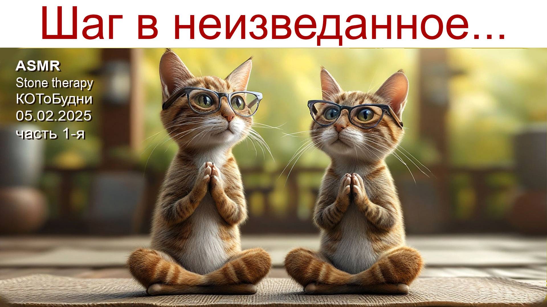 ASMR & Stone therapy - дорога в неизведанное или КОТоБудни от 05.02.2025г. (часть 1-я) смотреть онлайн