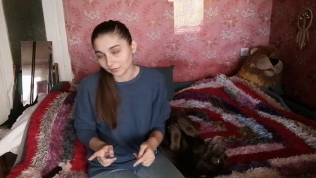 Нововведения в законе Украины по содержанию животных (собак) 🐕 смотреть онлайн