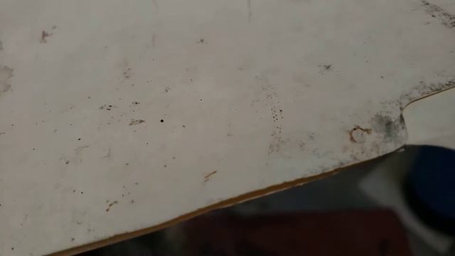 Barbados threadsnake (Tetracheilostoma carlae). Vid 3. смотреть онлайн