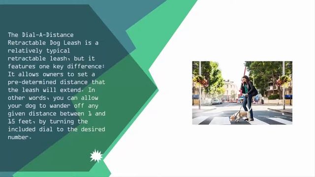 Best Retractable Dog Leash 2019 смотреть онлайн