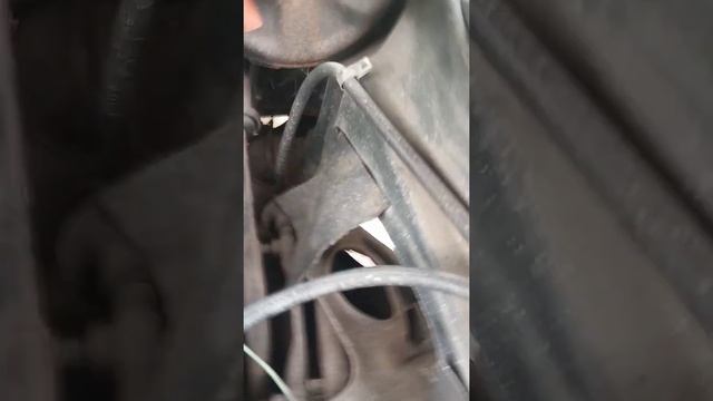 73 Malibu update got that Holley carburetor смотреть онлайн