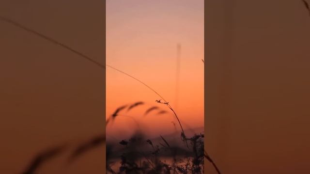 Улыбка смотреть онлайн