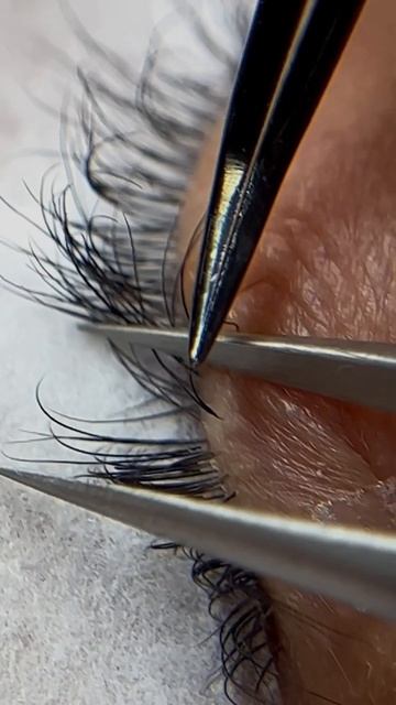 Сколько % после Лами останется наращенных ресниц через месяц #eyelashes #lashextensions #lashes смотреть онлайн