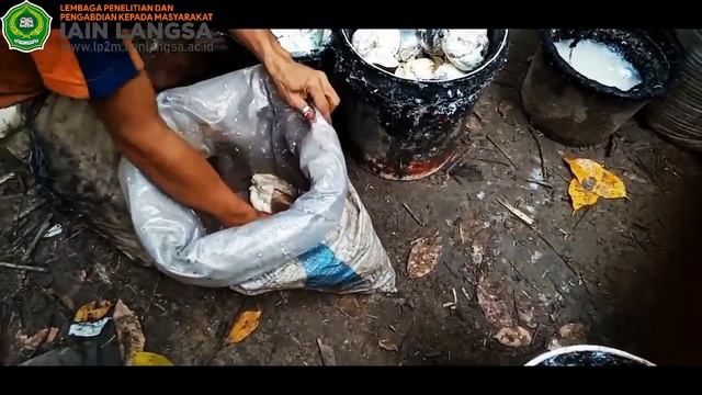 [Dokumenter] Meningkatkan Kreatifitas Masyarakat Desa Bundar dengan Mengelolah Rotan смотреть онлайн