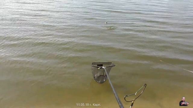 11 05 18 г. Карп. смотреть онлайн