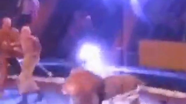 Шокирующее видео Лев в атаке на человека смотреть онлайн