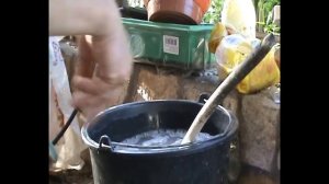 Обработка винограда по пятому листу