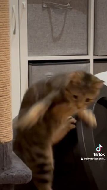 pride is not the word I’m looking for 🥺 смотреть онлайн