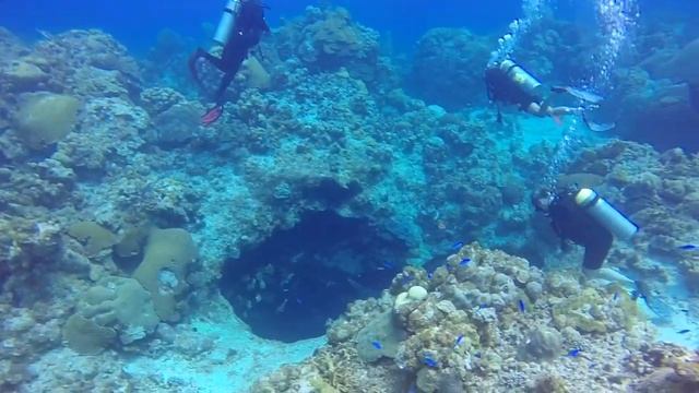 Eleuthera2015 смотреть онлайн