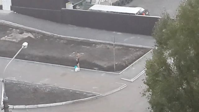 Девушка под кайфом смотреть онлайн
