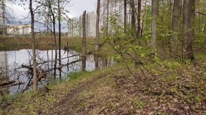 Плавающие жирафы 3