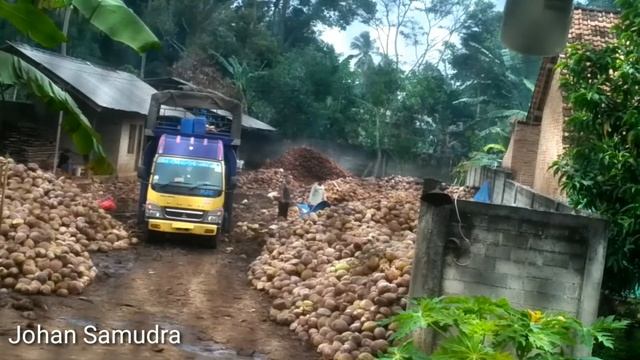 Proses Muat Kelapa Dari Gudang Kelapa Pak Haji смотреть онлайн