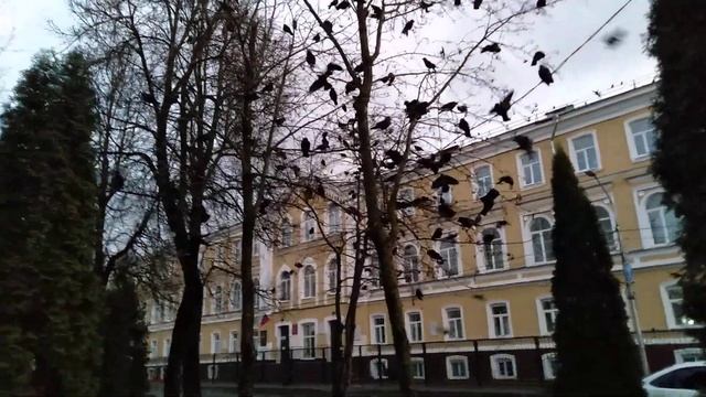 2021.11.20. ЦПКиО "Лопатинский сад". Вороны часть 4. смотреть онлайн