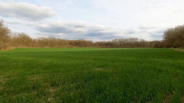 Soothe Your Mind With CALMING Spring Nature Sounds