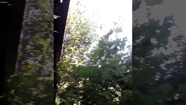 08.06.2014 путешествие с конём (3) смотреть онлайн