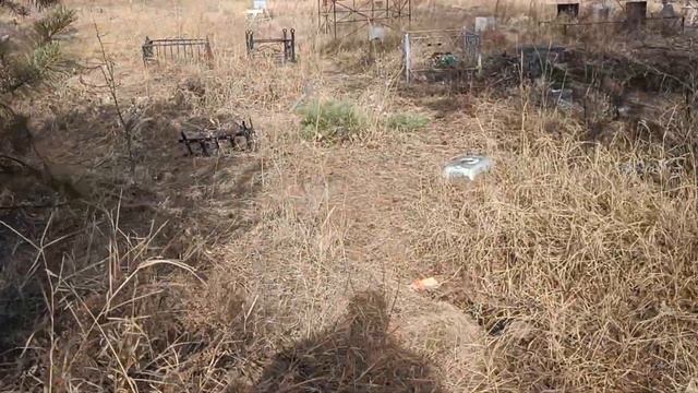 31 марта 2024 г. смотреть онлайн