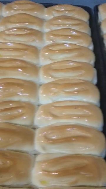 pão suicinho смотреть онлайн