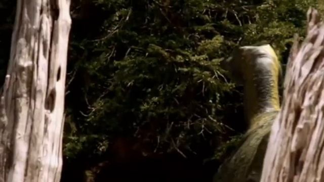 Walking With Dinosaurs: Death Of A Dynasty - Screen Time Anatotitan смотреть онлайн