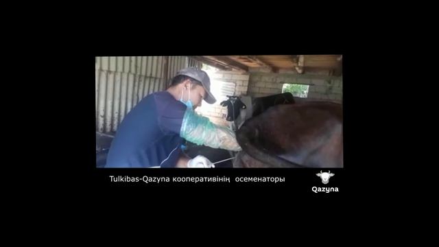 Осеменатор Ғалым Ғалбият смотреть онлайн