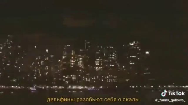 Мумий Тролль - Дельфины смотреть онлайн