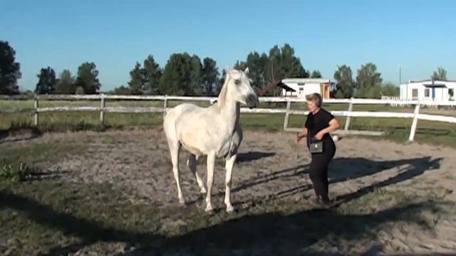 Алена, Ангел, Княгиня. смотреть онлайн
