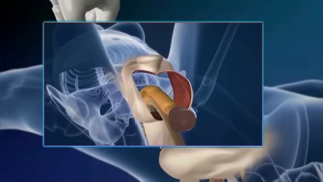 Cirurgia | Redesignação Sexual: Homem - Mulher ᴴᴰ смотреть онлайн