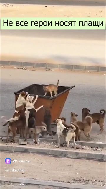 герой без плаща смотреть онлайн