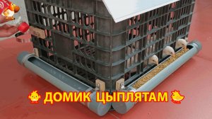 Домик цыплятам из пластикового ящика 🐤🐥🐤 Клетка для малышей ❣️