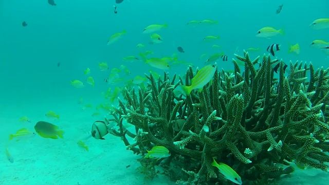 癒しの雰囲気 смотреть онлайн