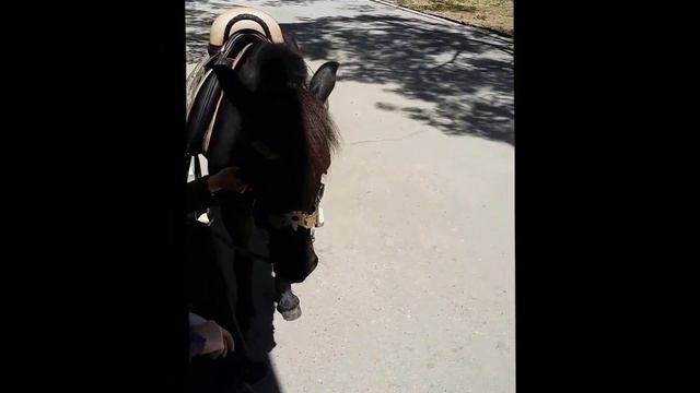 Эко-репортер смотреть онлайн
