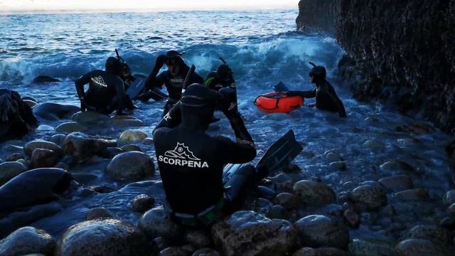 фридайвинг в Баренцевом море смотреть онлайн
