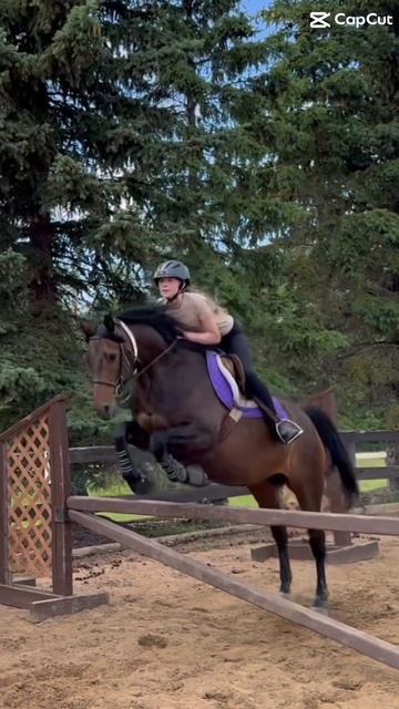 My actual first high jump it was 2.9!!￼ смотреть онлайн