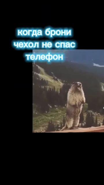 бобр кричит смотреть онлайн