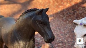 ШЛЯЙХ сериал «Неудача Новенькой» 2 сезон 4 серия