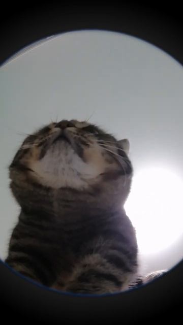 29 апреля 2024 г. смотреть онлайн